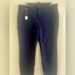 GAP Navy Skinny Pants